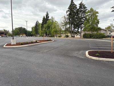 A newly repaved parking lot with landscaping islands